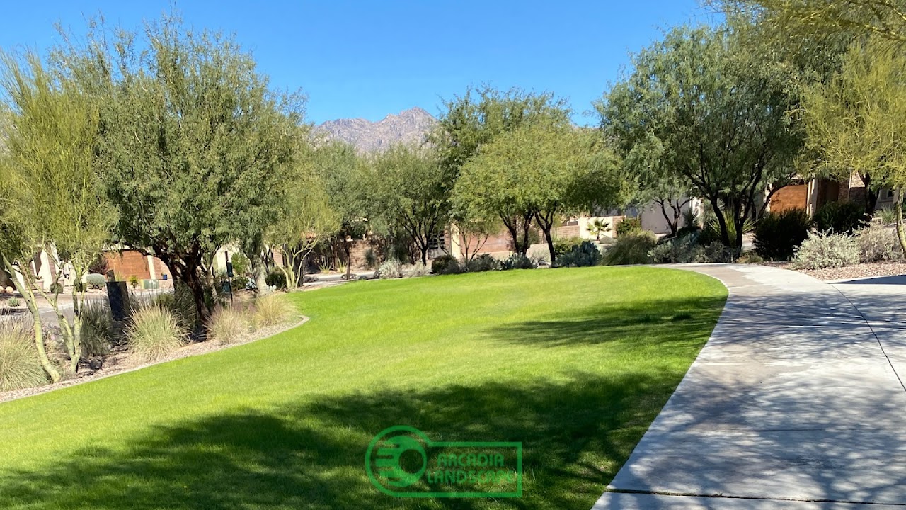 CDK Design LLC dba Arcadia Landscape project